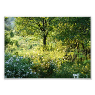 Beautiful Scene 7x5 Photographic Print