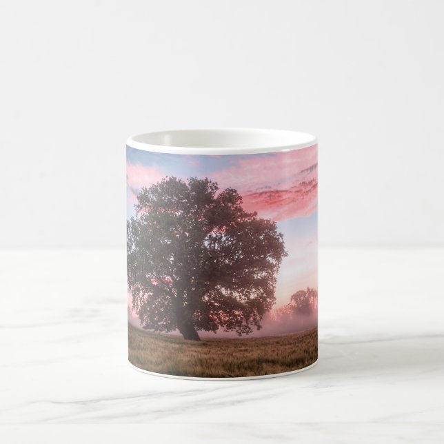 Beautiful Scenery Coffee Mag Mug (Center)