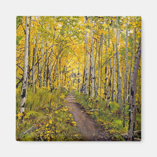 Beautiful Scenic Autumn Trail in Aspen Tree Grove Magnet
