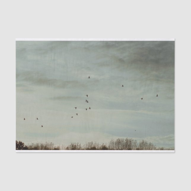 Beautiful scenic Tissue Paper (Front)