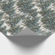 Beautiful Scotch Pine Tree Festive Wrapping Paper