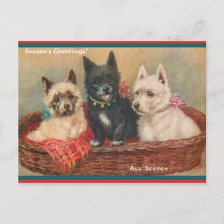 Beautiful Scottie Dogs Vintage Painting Holiday Postcard