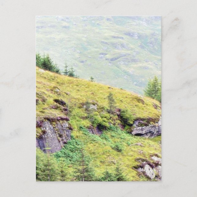 Beautiful Scottish Countryside Postcard (Front)