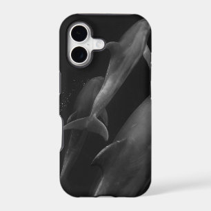 Beautiful Sea Life