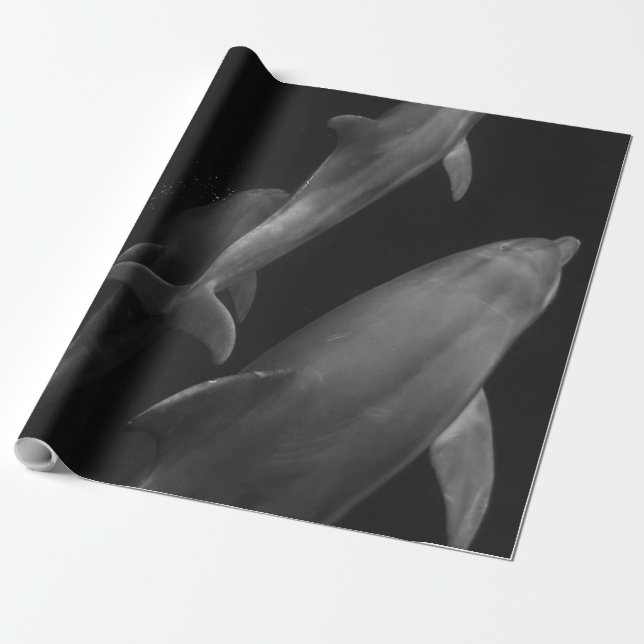 Beautiful Sea Life Wrapping Paper (Unrolled)