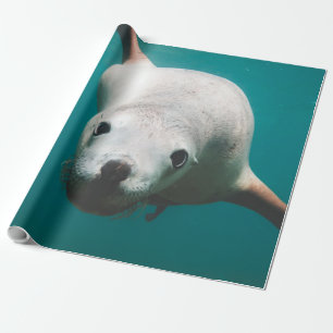 Beautiful Sea Lion Wrapping Paper