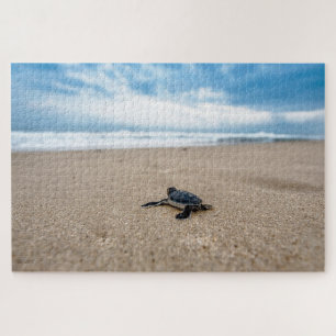 Beautiful Sea Turtle Jigsaw Puzzle