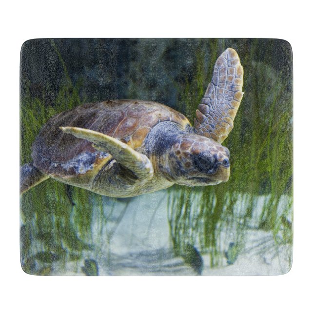 Beautiful Sea Turtle Swimming Cutting Board (Front)