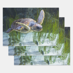 Beautiful Sea Turtle Swimming Horizontal Wrapping Paper Sheet