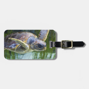 Beautiful Sea Turtle Swimming Luggage Tag