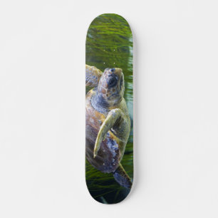 Beautiful Sea Turtle Swimming Skateboard