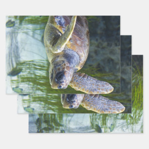 Beautiful Sea Turtle Swimming Wrapping Paper Sheet