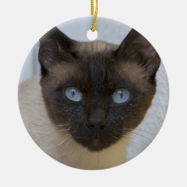 Beautiful Seal Point Siamese Cat Ceramic Tree Decoration (Front)