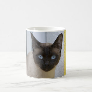 Beautiful Seal Point Siamese Cat Coffee Mug