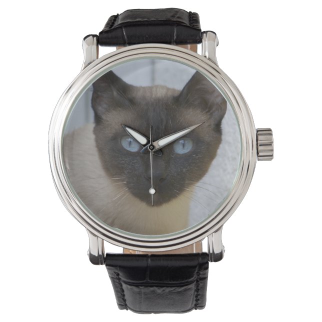 Beautiful Seal Point Siamese Cat Watch (Front)