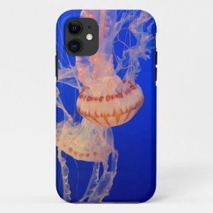 Beautiful Seascape iPhone 11 Case