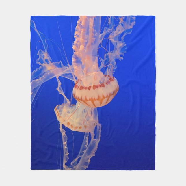 Beautiful Seascape Fleece Blanket (Front)