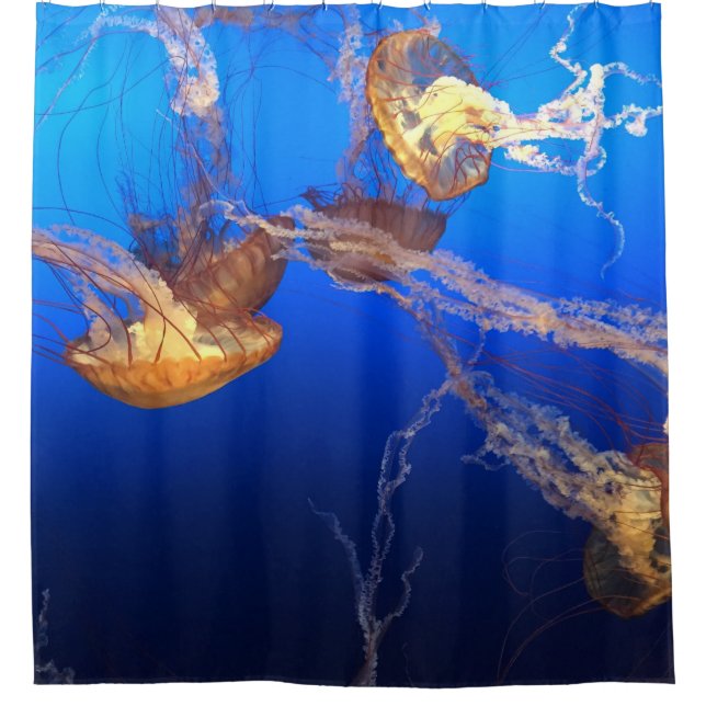 Beautiful Seascape Shower Curtain (Front)