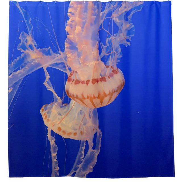 Beautiful Seascape Shower Curtain (Front)