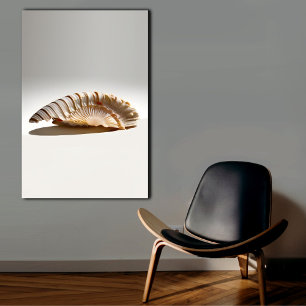Beautiful Seashell Canvas Wall Art