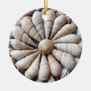 Beautiful Seashell Circular Ornament