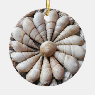 Beautiful Seashell Circular Ornament