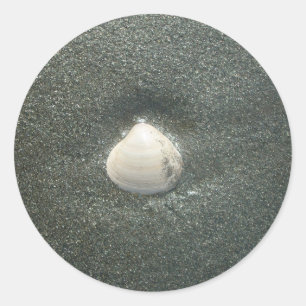 Beautiful Seashell in the Sand: A Salty Souvenir Classic Round Sticker