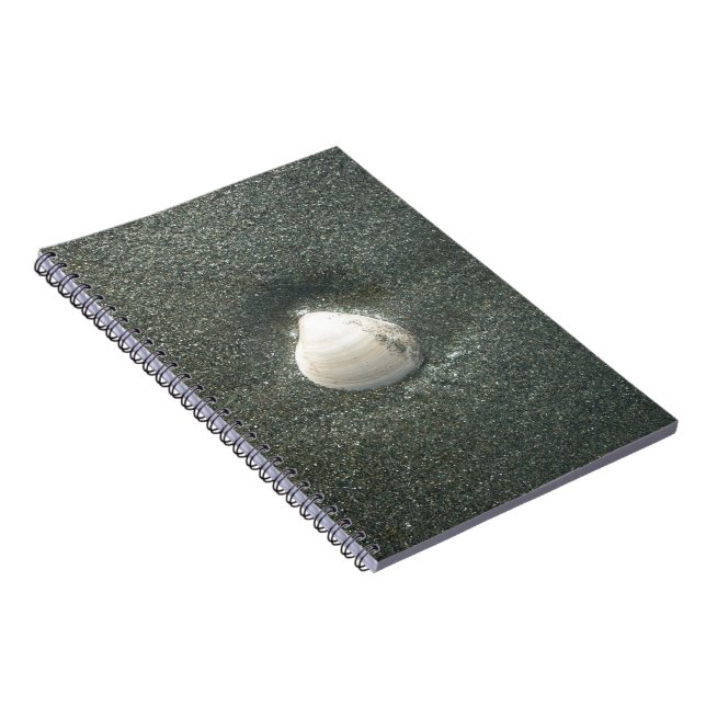 Beautiful Seashell in the Sand: A Salty Souvenir Notebook (Right Side)