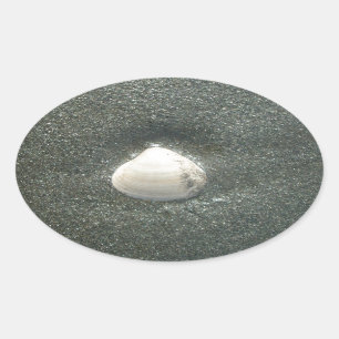 Beautiful Seashell in the Sand: A Salty Souvenir Oval Sticker
