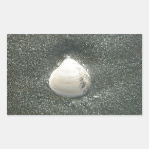 Beautiful Seashell in the Sand: A Salty Souvenir Rectangular Sticker