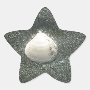 Beautiful Seashell in the Sand: A Salty Souvenir Star Sticker