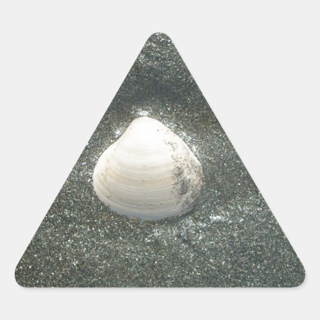 Beautiful Seashell in the Sand: A Salty Souvenir Triangle Sticker (Front)