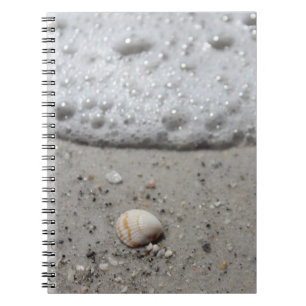 Beautiful seashell on the beach notebook