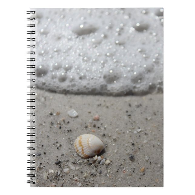 Beautiful seashell on the beach notebook (Front)