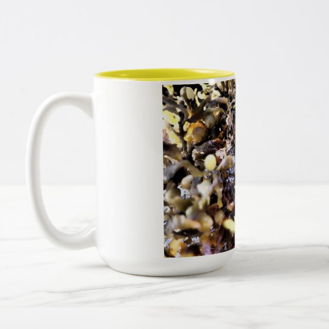 Beautiful Seashell Two-Tone Coffee Mug (Left)