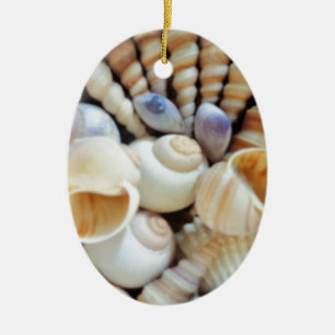 Beautiful Seashells, Summer, Beach, Shells Ceramic Tree Decoration