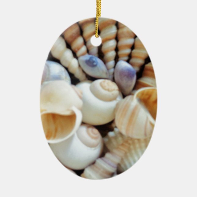 Beautiful Seashells, Summer, Beach, Shells Ceramic Tree Decoration (Front)