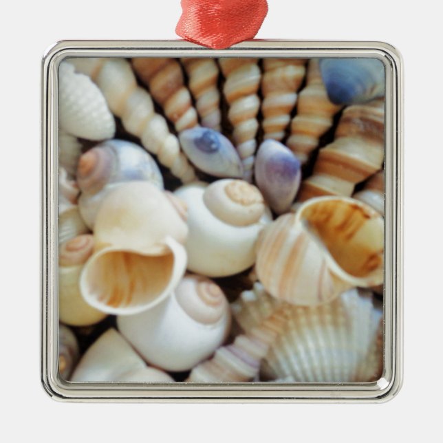 Beautiful Seashells, Summer, Beach, Shells Metal Tree Decoration (Front)