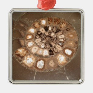 Beautiful sectioned Dactylioceras ammnite fossil Metal Tree Decoration