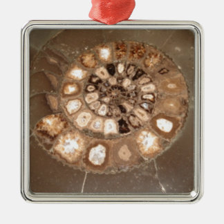 Beautiful sectioned Dactylioceras ammnite fossil Metal Tree Decoration