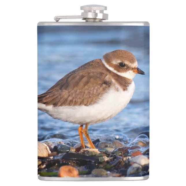 Beautiful Semipalmated Plover at the Beach Hip Flask (Front)