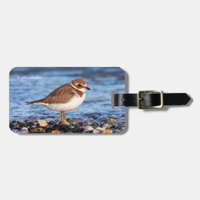 Beautiful Semipalmated Plover at the Beach Luggage Tag (Front Horizontal)