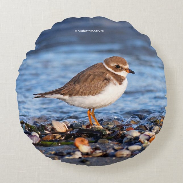 Beautiful Semipalmated Plover at the Beach Round Cushion (Front)