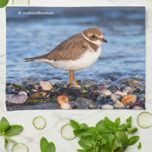 Beautiful Semipalmated Plover at the Beach Tea Towel