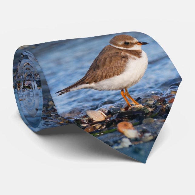 Beautiful Semipalmated Plover at the Beach Tie (Rolled)