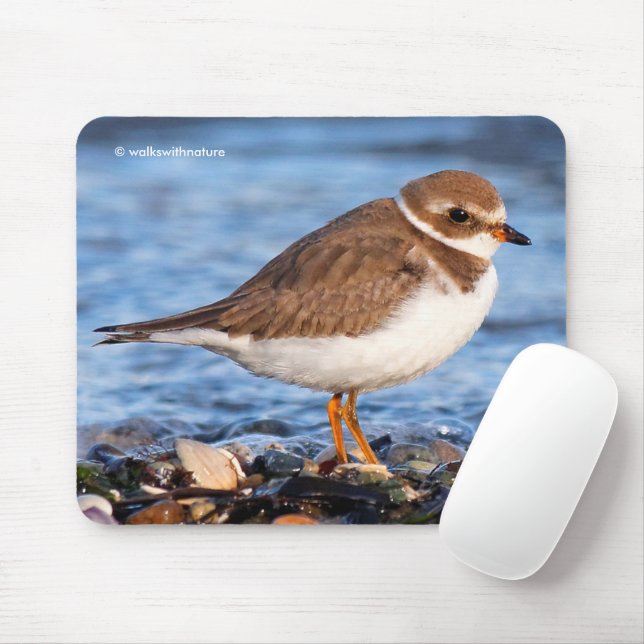 Beautiful Semipalmated Plover on Beach Mouse Mat (With Mouse)
