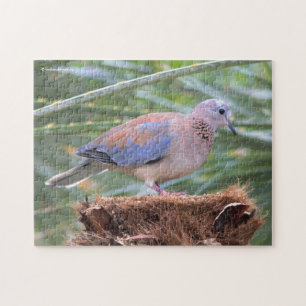 Beautiful Senegal Dove on a Tree Stump Jigsaw Puzzle