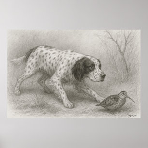 Beautiful Setter , Art Poster