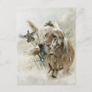 Beautiful Setter with Pheasants , Art Holiday Postcard