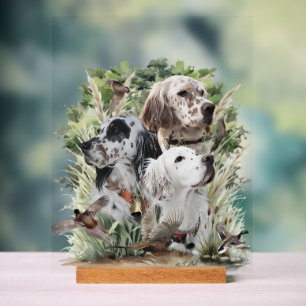 Beautiful Setters Acrylic Sign